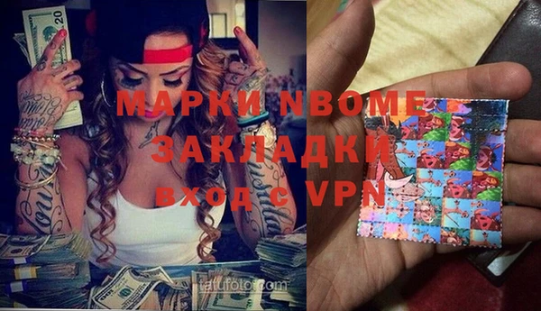 прущие грибы Баксан