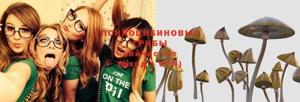 амф Белокуриха