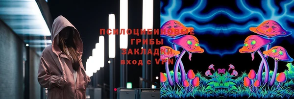 СК Балахна