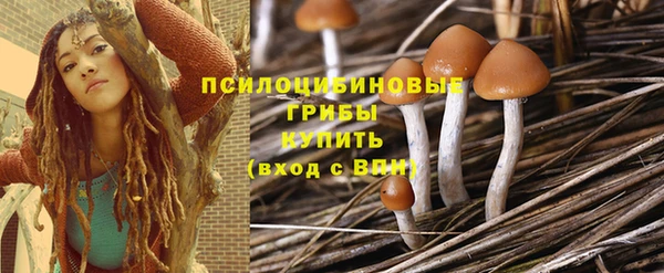 прущие грибы Баксан