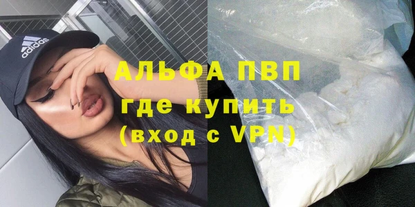 прущие грибы Баксан