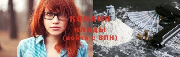 прущие грибы Баксан